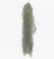 Tillandsia usneoides - Spanish Moss