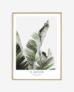 Maaike Koster Limited Edition A5 Prints