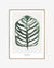 Maaike Koster Limited Edition Botanical Prints 50 x 70cm
